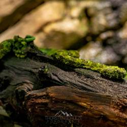 #551 · Tierpark Berlin 2021