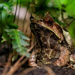 #549 · Tierpark Berlin 2021