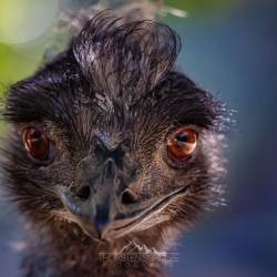 #694 · Tierpark Ströhen 2022