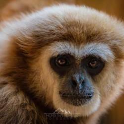 #682 · Tierpark Ströhen 2022