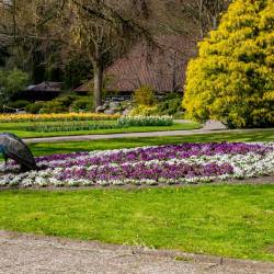 #954 · Vogelpark Walsrode 2021