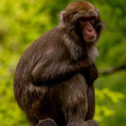 #581 · Zoo Berlin 2021