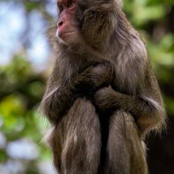 #582 · Zoo Berlin 2021