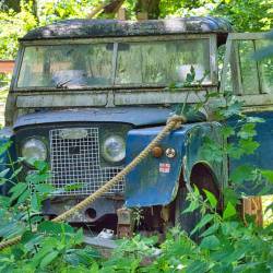 #654 · Zoo Osnabrück 2020