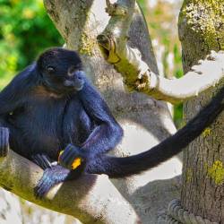 #675 · Zoo Osnabrück 2020