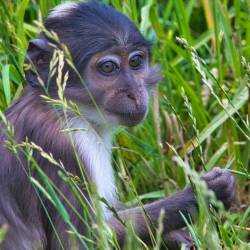 #656 · Zoo Osnabrück 2020