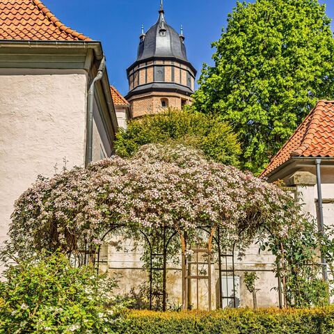 #2282 · Blühender Blumenpavillon