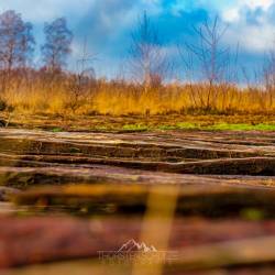 #153 · Bolenpfad im Diepholzer Moor