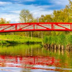 #1237 · Brücke an den Schulen