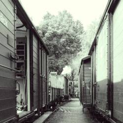 #270 · Darbietung für die DEV Wochenschau 13