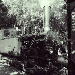 #272 · Darbietung für die DEV Wochenschau 13