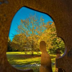 #709 · Der lange Weg - Bewegung