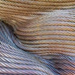 #336 · Die ewige Weisheit