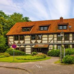 #306 · Die Münte - Café Freiraum im Sommer