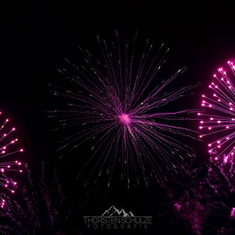 #1850 · Diepholzer Großmarktmomente