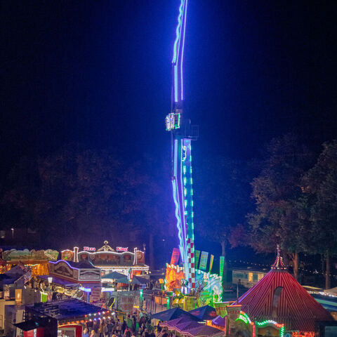 #1880 · Diepholzer Großmarktmomente