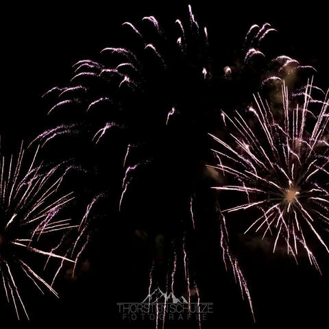 #1852 · Diepholzer Großmarktmomente