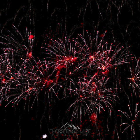 #1859 · Diepholzer Großmarktmomente