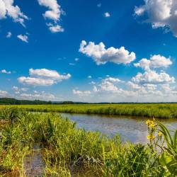 #264 · Dümmer Wiesen und Gräben