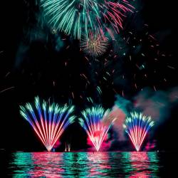 #1667 · Dümmerbrand