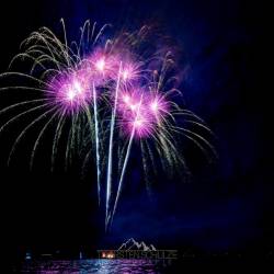 #1665 · Dümmerbrand