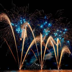 #1664 · Dümmerbrand