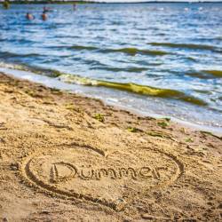 #1673 · Dümmerliebe