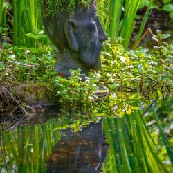 #256 · Ein Diepholzer Privatteich