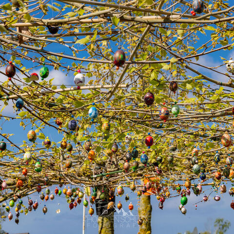 #2288 · Frühlingsmomente auf dem Campingplatz Tiemanns Hof in Lembruch