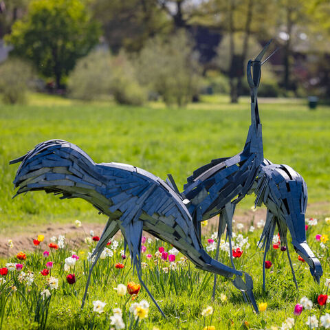 #2295 · Frühlingsmomente auf dem Campingplatz Tiemanns Hof in Lembruch