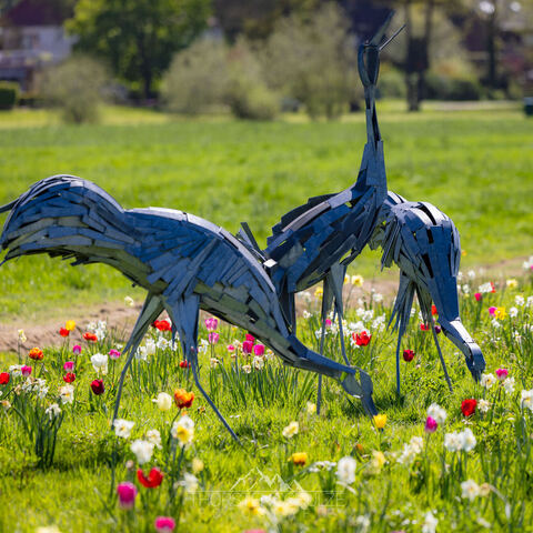 #2294 · Frühlingsmomente auf dem Campingplatz Tiemanns Hof in Lembruch