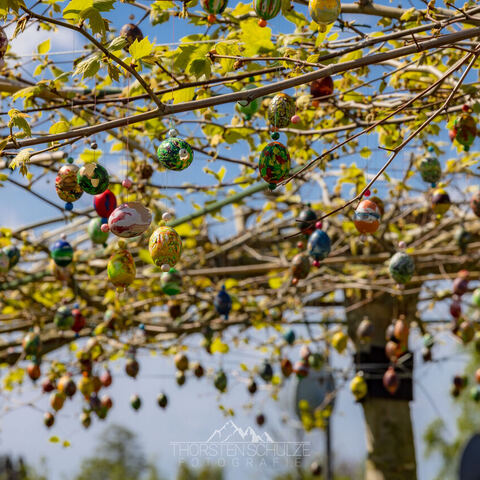 #2289 · Frühlingsmomente auf dem Campingplatz Tiemanns Hof in Lembruch