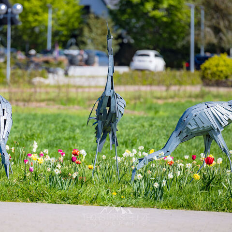 #2291 · Frühlingsmomente auf dem Campingplatz Tiemanns Hof in Lembruch