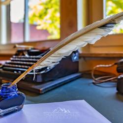 #294 · Gänsefeder im Tintenfass