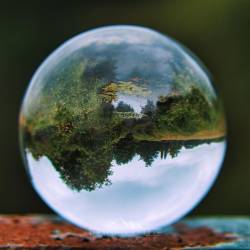 #781 · Grawiede durch die Glaskugel btetrachtet