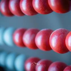 #1342 · Grundschule