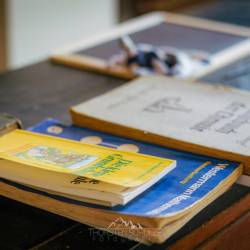 #1338 · Grundschule