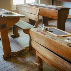 #1333 · Grundschule