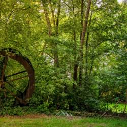 #1717 · Hängemühle in Falkenhardt