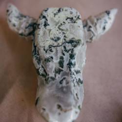 #68 · Handwerker Markt in Aschen