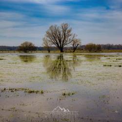 #139 · Huntebruchwiesen nach dem Dauerniederschlag