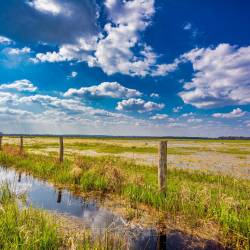 #346 · Huntebruchwiesen