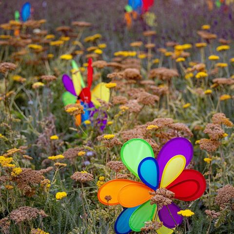 #2328 · Impressionen