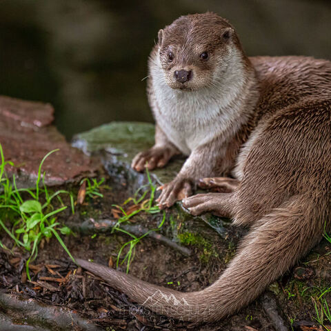 #2013 · Kölner Zoo