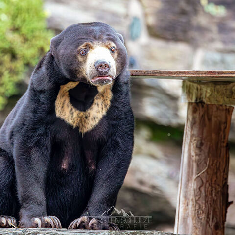 #2009 · Kölner Zoo