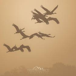 #1495 · Kraniche im Nebel