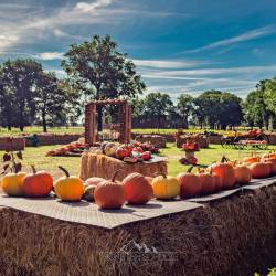 #1558 · Kürbiszeit Bauernladen Rennegabe