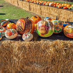 #1560 · Kürbiszeit Bauernladen Rennegabe