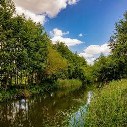 #1657 · Lohne in Blickrichtung Flöthüde