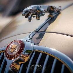 #445 · Oldtimertreffen 2023